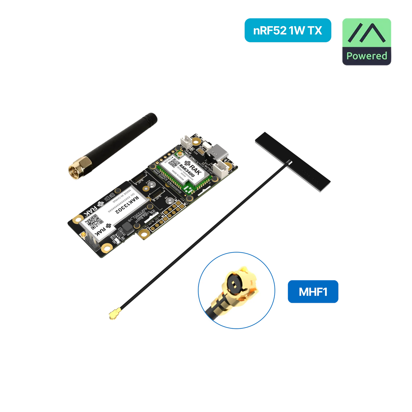 WisMesh 1W Booster Starter Kit