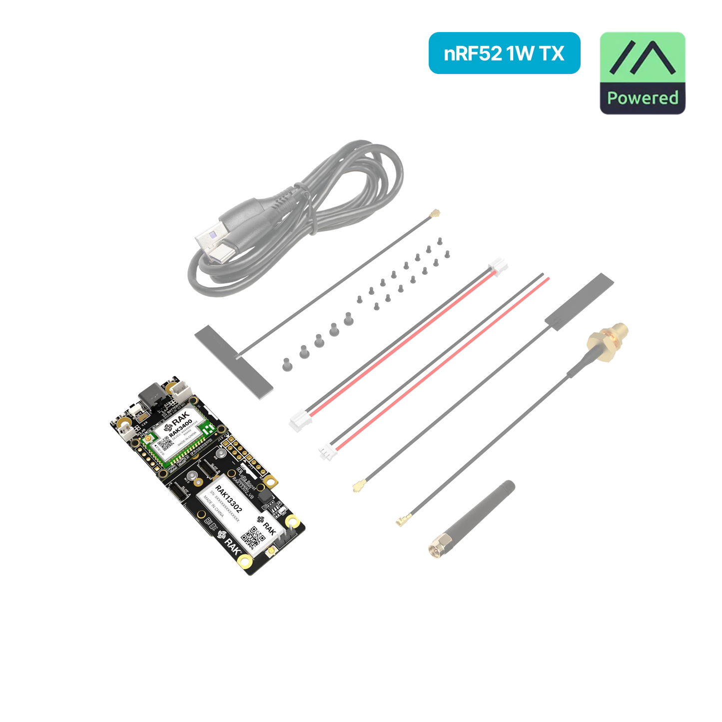 WisMesh 1W Booster Starter Kit